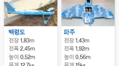 “북, 한국의 방공망 교란시킬 최적 수단 찾아낸 셈”