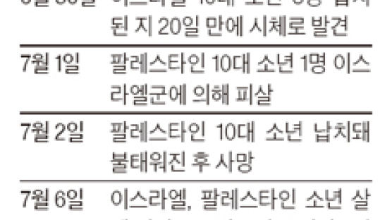 이스라엘, 닷새째 무차별 공습 팔레스타인과 전면전 초읽기