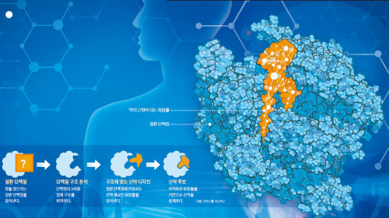 ‘단백질 지도’ 만들기 신약 개발 열쇠