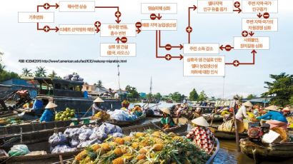 [Life & Culture] 식량의 보고, 베트남의 ‘쌀 광주리’ 기후변화 따른 수면 상승 위협 적신호