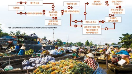 [Life & Culture] 식량의 보고, 베트남의 ‘쌀 광주리’ 기후변화 따른 수면 상승 위협 적신호