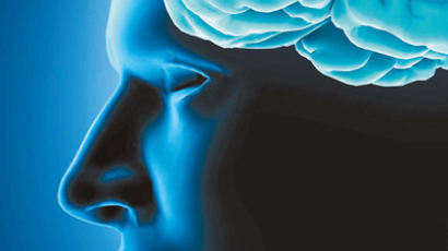 알파고 ‘승리 확률’설계 … 인간 뇌는 훨씬 고차원