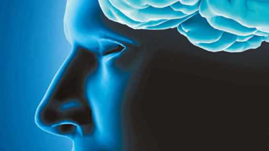 알파고 ‘승리 확률’설계 … 인간 뇌는 훨씬 고차원