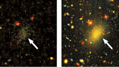 암흑물질이 99%인 희귀 은하 ‘드래건플라이44’