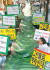 1999년 8월 24일 서울 명동 한빛은행 앞에서 환경단체 연합체인 ‘그린벨트 살리기 국민행동’이 그린벨트 해제방침 철회를 촉구하고 있다. [중앙포토]