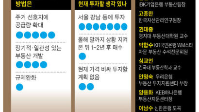 “공급 없이 수요 억누른 8·2 부동산 대책 반쪽짜리 성공”