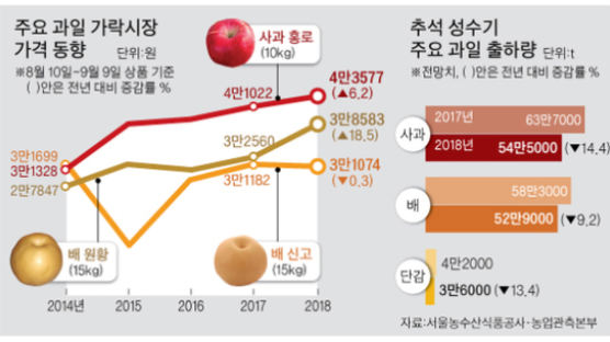 전세계 이상기후 … 망고 등 수입량도 7% 줄어