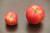 강원도 양구 펀치볼의 사과 과수원 애플카인드(AppleKind)에서 재배한 사과. 오른쪽이 제일 상품인 사과로 1개 무게가 500g에 육박한다. 신인섭 기자