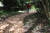 오쿠마쓰시마 코스의 오솔길. 비탈진 길바닥에 나무 조각을 깔아놨다. 손민호 기자