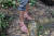 동굴 가이드는 베트남 국부 호치민이 즐겨 신었던 &#39;호치민 신발&#39;을 신고 정글을 누빈다. 양보라 기자