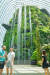 가든스 바이 더 베이의 유리 돔 &#39;클라우드 포레스트&#39;에는 고산식물로 가꾼 인공 산이 있다. 30m 높이의 폭포도 갖췄다. 실내 기준 세계 최고 높이다. 백종현 기자