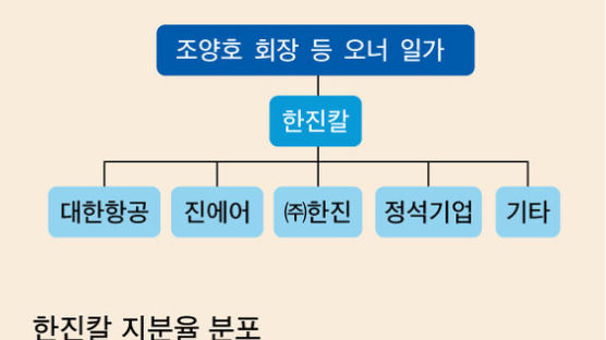 오너 공백 ‘빅2’ 항공사…3세 경영 불시착 위기