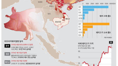 공항서 바이러스 검출, 북한 확산설…돼지열병 ‘빨간불’