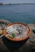 어린 오징어를 일일이 썰어 담아내는 속초 산 오징어회. 야들 야들하고 부드러운 맛이다. 속초 오징어는 지금이 제철이다. 5월부터 동해에서 잡은 오징어들이 속초항으로 모여든다.