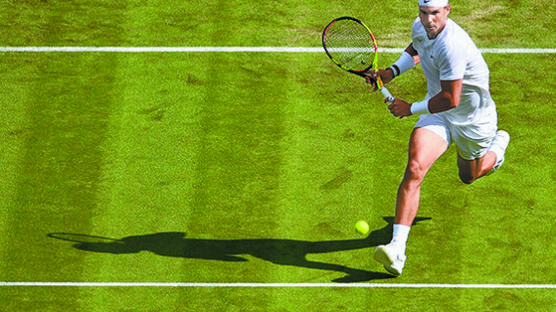 테니스가 머슴에게 시키면 좋을 운동? 영국 국왕 참관 윔블던은 체통의 경기
