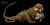 『포토 아크』에 실린 콧수염원숭이 한 쌍의 사진. 어미를 잃고 가봉의 야생동물 재활전문가에게 보내졌다. 이 동물은 국제자연보존연맹(IUCN)이 지정하는 멸종 위기종 적색목록 가운데 LC(관심 대상) 종으로 지정됐다. [사진 Joel Sartore]