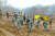 지난해 11월 철원 비무장지대 에서 남북한 군인들이 공동 유해발굴을 위한 지뢰 제거 작업을 하고 있다. [연합뉴스]