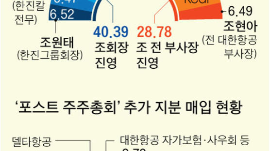 조원태 ‘남매의 난’ 1차전 완승…조현아 연합, 2라운드 예고
