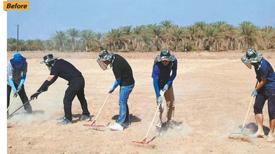 단전·새 떼와 싸움 이기고 모래땅서 ‘금쪽 같은 쌀’…UAE “어메이징”