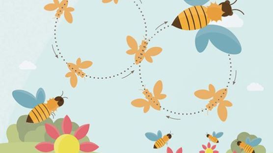 ‘8자 춤 소통’ 꿀벌, 대화 않는 호박벌보다 압도적 번성