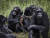 침팬지 무리는 낯선 개체를 만나면 가만 두지 않는다. 그만큼 배타적이다. 타자와도 싸우지 않고 공존할 수 있는 인간과 다른 점이다. [중앙포토]