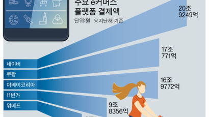 ‘한국판 아마존’ 꿈 e커머스, 충성 고객 잡기 출혈 경쟁