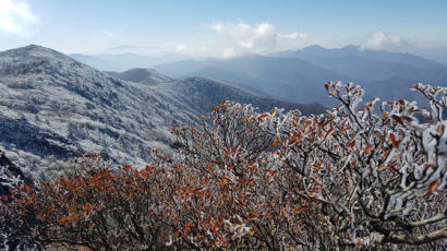 [사진] 산 위는 벌써 겨울