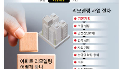 녹물 나오는 아파트, 재건축 막히니 차라리 리모델링