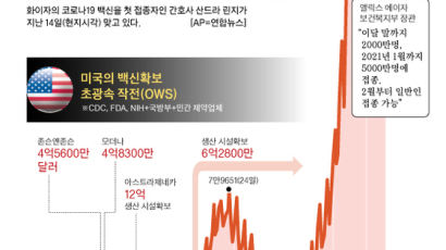 정부, 백신 부작용·예산 걱정해 ‘돌다리’만 두드려