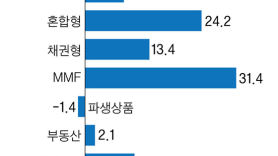 베트남 펀드 평균 수익률 29%…MMF 설정액 165조, 31% 성장