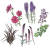 여름 화단에 다음 식물들을 함께 심으면 깊이 있는 색과 형태를 연출할 수 있다. 그림 왼쪽부터 시계 방향으로 달리아·리아트리스·탈릭트룸·리시마키아·오피오포곤. [사진 궁리]