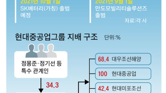 실탄 조달 목적? 사업 ‘쪼개기’로 기존 주주가치 훼손 우려