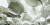 물속에서 연잎을 바라본 독특한 시각의 사진 시리즈 ‘피안’. [사진 김용호]