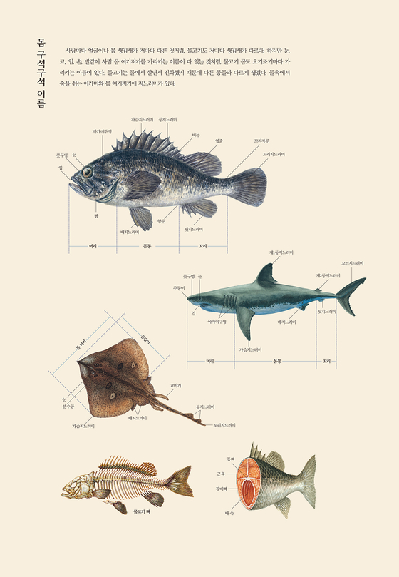 물속서 그린 『한반도 바닷물고기 … 』 롯데출판문화대상