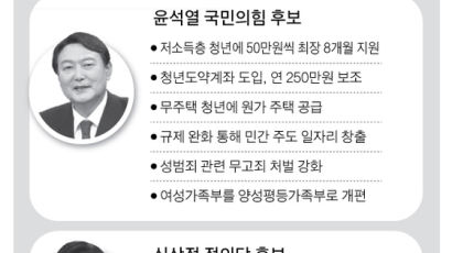 누가 집·잡 줄 것인가…2030 이슈별로 실리 좇는 ‘스윙보터’