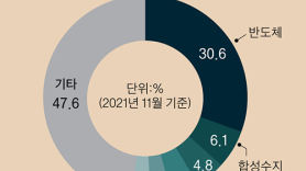 [중국 5% 성장 시대]한국 대중 수출 의존도 25%, 중국 성장 둔화 땐 직격탄