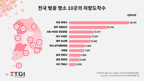 봄바람 휘날린다…전국 벚꽃 추천 명소 10곳