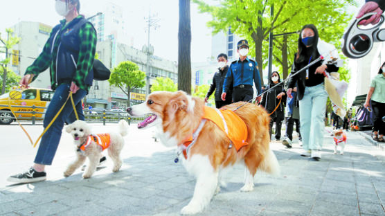 [반려동물 인구 1500만 시대]국민 4명 중 1명 ‘개님·양님 집사’, 57%는 이웃과 갈등 겪어…공존 위한 사회 인프라 갖춰야