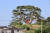 부산 기장 죽성리 국수당은 5그루의 소나무 가운데에 있다. 죽성리는 윤선도의 적거터로 추정된다. 김홍준 기자