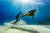 올해 1월 이집트 다합의 다이빙 포인트 일가든(Eel Garden)에서 스노클링을 하고 있는 김선영씨를 프리다이버 사진작가가 찍은 장면. [사진 김선영]