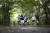 8월 20일부터 21일까지 1박2일 동안 코오롱스포츠가 주최한 ‘로드랩 제주 50K’ 참가자들의 모습. 첫째 날 코스였던 한라산 둘레길(천아숲길~돌오름길) 20㎞는 키 큰 나무들이 울창한 숲길로 한여름에도 시원한 그늘을 만들기 때문에 달리기에 안성맞춤이다. 정준희 기자