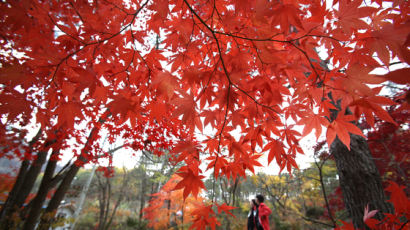 [사진] 깊어가는 가을