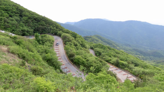 구불구불 육십령 오르니, 돈가스가 맞이해 주었다