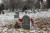 2008년 미국 뉴욕 퀸스의 공동묘지에서 발견된 황기환 지사 묘소. [연합뉴스]