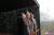 북한 김정은 국무위원장(가운데)이 딸 김주애(왼쪽)와 함께 신형 ICBM ‘화성-18형’ 시험발사 장면을 지켜보고 있다. [연합뉴스]