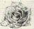 ‘델보’가 주최하는 팝업 전시에 선보이는 르네 마그리트 작품들. 벨기에 마그리트 재단이 소장한 작품들이다. ‘레슬러의 무덤’(인디언 잉크, 1960). [사진 마그리트 재단]