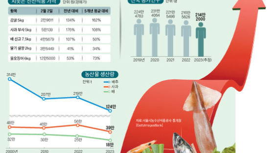 사과 176%, 딸기 41% 뛰어…20년 과일장수 "이런 가격 처음"