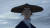 넷플릭스 애니메이션 시리즈 '푸른 눈의 사무라이'(2023)에서 주인공인 혼혈 남장여자 검객 미즈. [사진 넷플릭스]