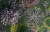 '사르르목련'을 주제로 한 제7회 천리포수목원 목련축제가 지난달 29일부터 오는 21일까지 열린다. 올해는 50년간 빗장을 걸어잠갔던 '산정목련원'도 처음으로 문을 열었다.[사진 김경빈]