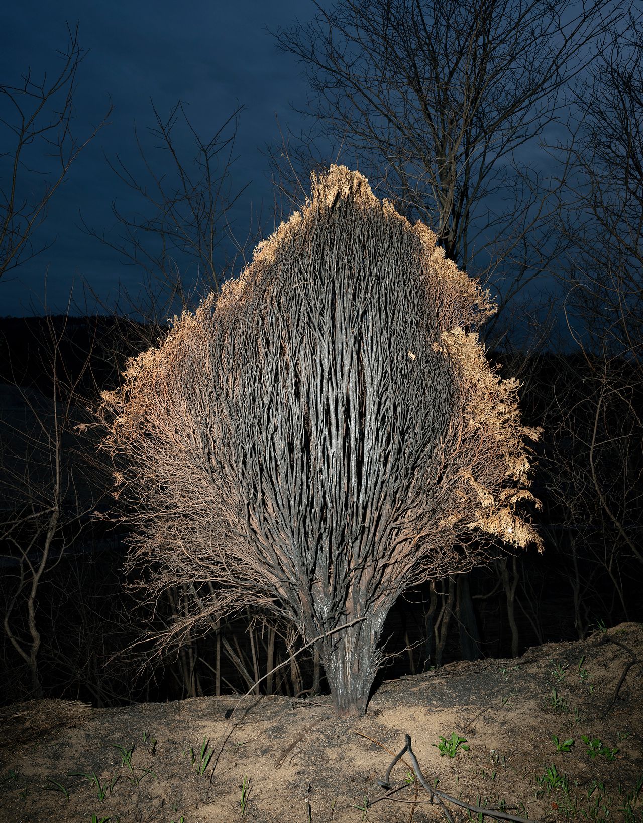 [사진 한 잔] 흔적 - 뉴스 썸네일 이미지